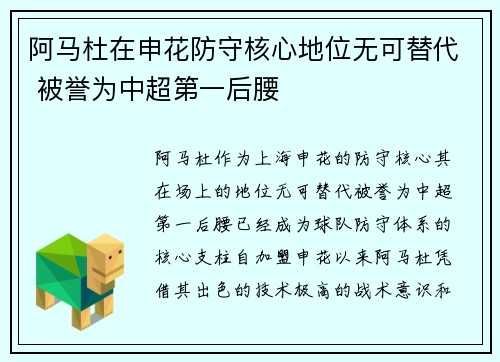 阿马杜在申花防守核心地位无可替代 被誉为中超第一后腰